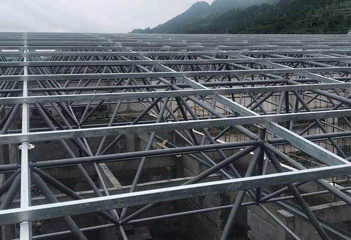 芜湖学校艺体楼网架